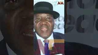 NICO Urges National Language Adoption 3rd Oct 2024 | NTA |