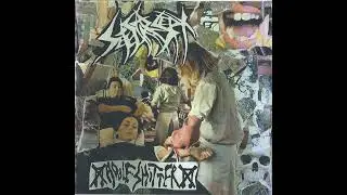 Sete Star Sept & Adolf Shitter - Split 7 (2013)