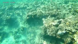 3 pools-Dahab