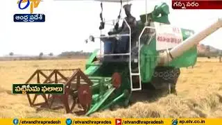 Krishna District Farmers Happy over Pattiseema Water