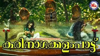 സര്‍പ്പപ്രീതിയ്ക്കായി ഒരു കരിനാഗക്കളംപാട്ട് | Sarpam Paattu | Nagaraja Song | Nadanpattukal