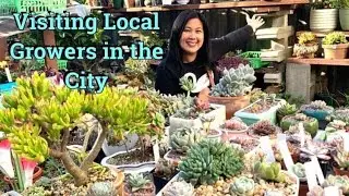 VISITING LOCAL GROWERS IN THE CITY Episode 1  #SF #bayarea #Supportlocalgrower #local