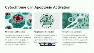 Unlocking the Secrets of Cell Death  The Role of Cytochrome C 🔬