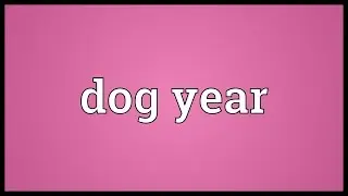 Dog year Meaning