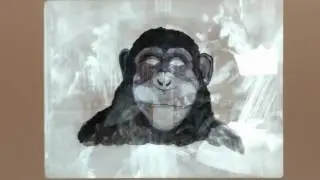 The Loop of Consciousness