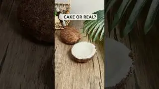 Cake or Real? #everythingiscake