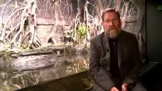 Wussten Sie schon? - Schützenfisch