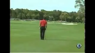 Tiger Woods 297 yard 3 wood