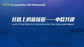 Shipping industry expert: Digital shipping boosts bilateral trade between China and EU