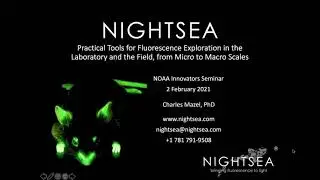 NIGHTSEA: Practical Tools for Fluorescence Exploration -