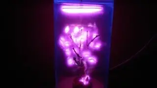 Plasma Tree Artwork - Arbor Aid 2011