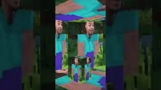 chuken tree day i fartgot #crazy #flight #help #instagram #respect #tiktok #minecraft #viral