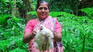 Chicken Cooking: Bengali Village Chicken Curry Cooking Recipe for Kids by Village Food Life