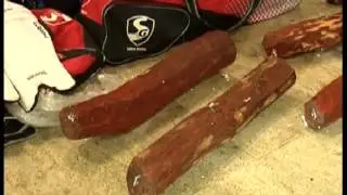 MADURAI ... 3 ARRESTED FOR SMUGGLING RED SANDAL WOOD