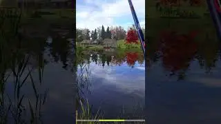 🌅 Calm Float Fishing on a Quiet Lake | Nature & ASMR 🎧 #shorts  #nocommentary #fishing