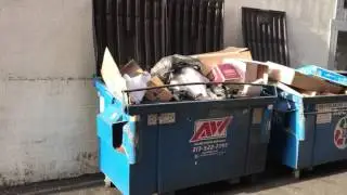 Springfield Illinois Trash Removal