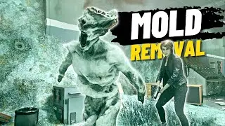 Mold Removal | Control Game (Pt. 29)