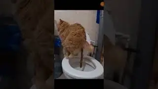 Жоски дрилл 😎 #meme #мем #прикол #юмор #shorts #tiktok #drill