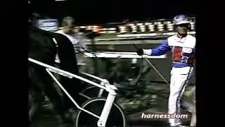 2004 Meadowlands MR MUSCLEMAN Ron Pierce Open Trot $40,000