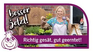 WinterSalat anbauen: Aussaat-Workshop f&uuml;r Anf&auml;nger 🥬❄️