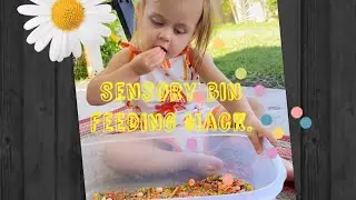 SENSORY BIN FEEDING HACK!