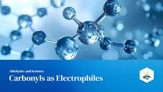 23. Carbonyls as Electrophiles