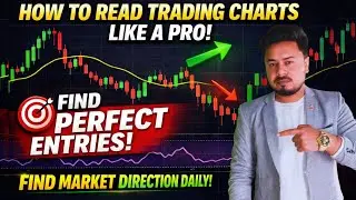 How to Read Trading Charts Like a Pro | How To Find PERFECT Entries | Find Market Direction Daily