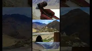 Zangla Palace Cinematic Video.              #zanskarvalley #zanglapalace #zanskar #ladakh #traveller