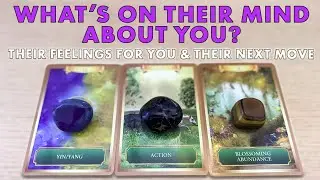 💞 What's On Their Mnd About You?| Their Feelings & Next Move | Pick A Card • Tarot Reading  Timeless