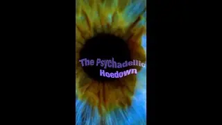 The PSychEdelic HoeDown 4/24/24 - Fox Theatre, Boulder, CO - Promo Reel #2