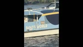 Blueys world #ferry #cartoon #kids #river #brisbane #mrbeast #viral