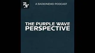 The Purple Wave Perspective: Purple Wave Auction Market Insights with Dave Nemo | Nemo Nation