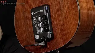 ToneWoodAmp Demo from Peghead Nation