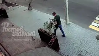 На Державинском тип украл герань 12.5.2019 Ростов-на-Дону Главный