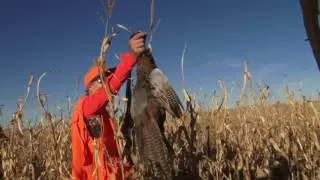 2016 South Dakota Pheasant Hunt