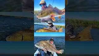 Sage Salt R8 Fly Rod Review by MRFC