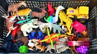 DWH Animals |Learn Sea Animal Names for Babies | Preschool Learning