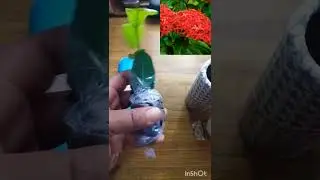 the affordable organic store review 🥰🥰🥰🥰🥰🥰#onlineshopping #viral #plants #indoorplantplantnursery