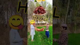 HALAL FOODS VERY TASTY 😋 #islamicvfxshorts #healthydiet #youtubeshorts #viralshort #shorts