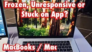 MacBook: экран завис, не отвечает или завис в приложении (невозможно перезапустить?)