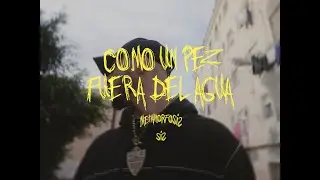 RVFV - COMO UN PEZ FUERA DEL AGUA /Prod. David Marley/ (Visualizer)