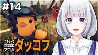 【エスケープ フロム ダッコフ 】嵐エリア突入準備 #14【白露りお】