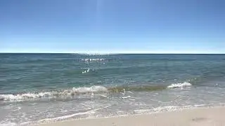 Perdido Key Florida. Listen to Ocean Waves. Gulf Coast Homes. Sotheby's International Realty