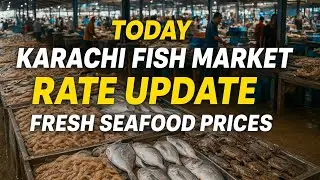 Today Karachi Fish Harbour | Dam Mandi  Update | Fresh Seafood Market Price | Fish & Prawns Rates