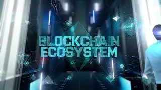 The Lifetime Crypto Builder