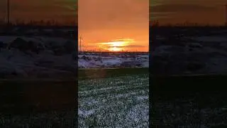 Winter, Rural Ukraine, Sunset#2026#agriculture#rurallife#nature#relaxing#country#sunset#peace#life