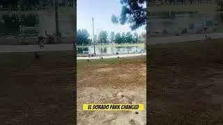 El Dorado Park changed #change #eldoradopark  #eldorado #duckpond  #pond #family #passionoftreasure