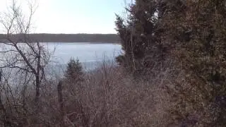 Visiting Mill Lake in Waterloo Recreation Area