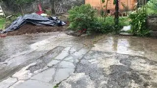 ETXEKO LORAK ETA BARATZA ESKERTUTA ARRATSALDEKO EURIARI.