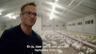 Hoe verzorg je vleeskuikens met respect voor het dier?